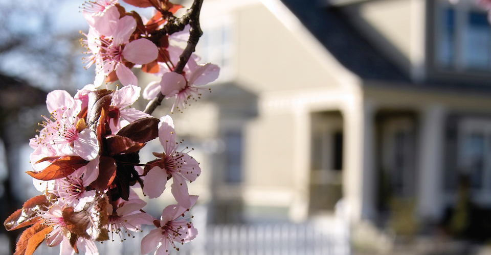 spring housing market trends