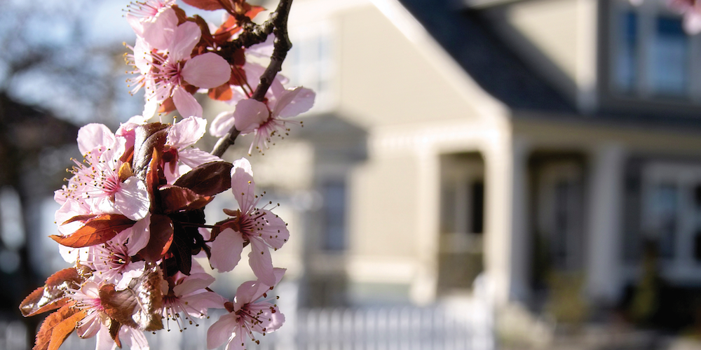 spring housing market trends